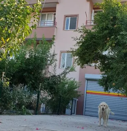 Yener *